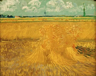 Champ de blé avec gerbe